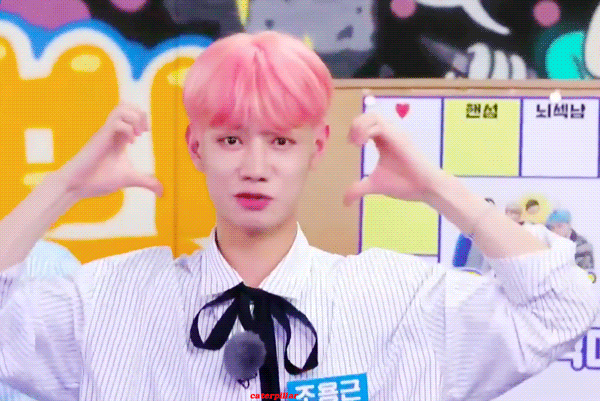 11.gif
