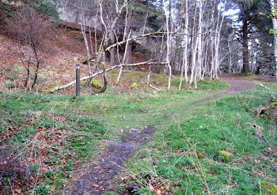 Junction in the way up Craigendarroch, Deeside