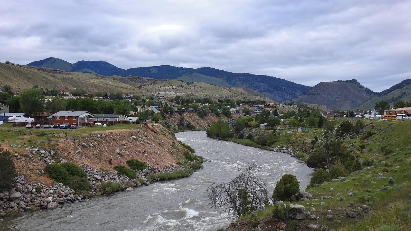 Travel with Kevin and Ruth Lots of wildlife around Gardiner, MT