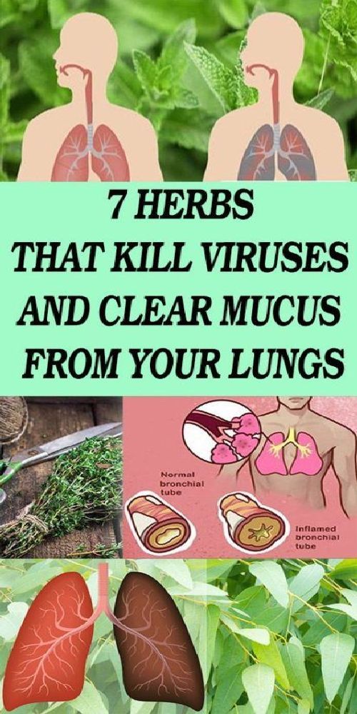 7 Herbs That Kill Viruses and Clear Mucus from Your Lungs Wellness tab