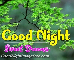 Shukrawar shubhratri Good Night Image