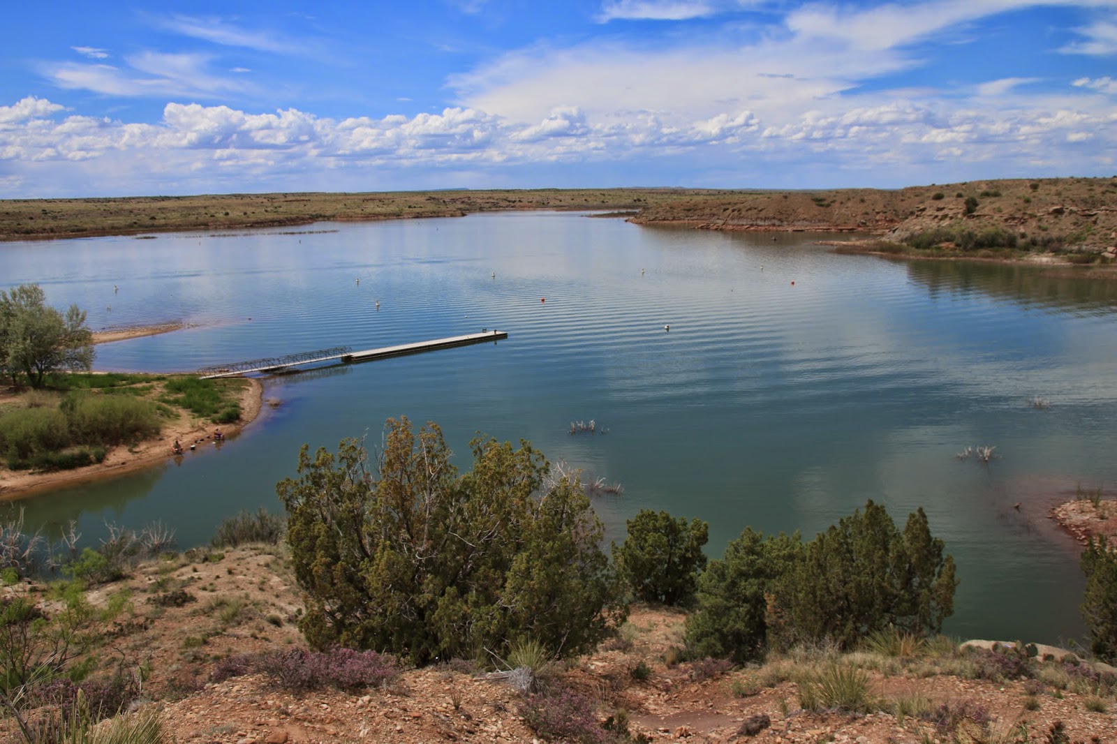 Travels with Twinkles Tucumcari Tonight