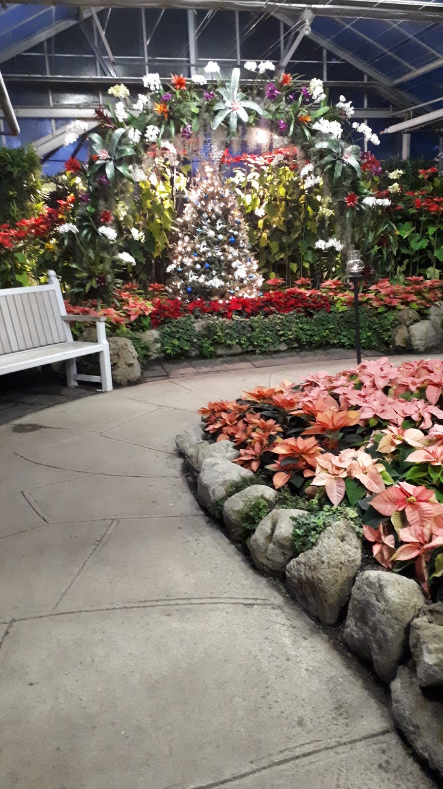 Number 16 Christmas photos from Centennial Park Conservatory