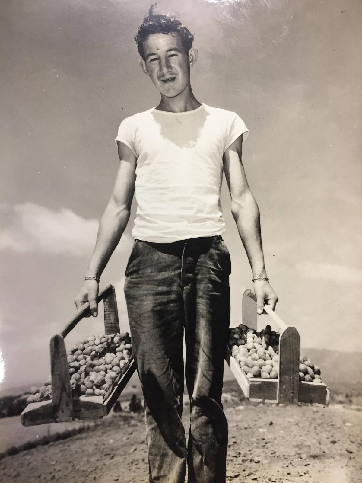 Photo of the Day Rivet Head