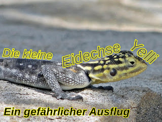  Die kleine Eidechse Yelli - Ein gefährlicher Ausflug