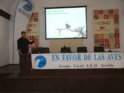 Conferencia: "Aves y mosquitos, transmisión de patógenos aviares por insectos  vectores". Por Josué Martínez de la Puente, 3 de Mayo 2016. Grupo Local SEO-Sevilla.