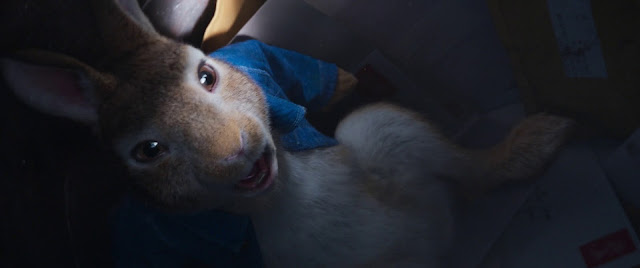 Peter Rabbit 2: Conejo en Fuga 720p latino