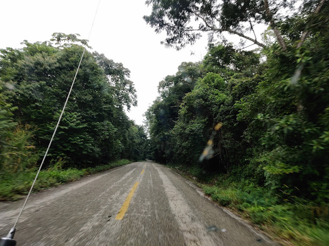 must visit attractions in Chiapas Palenque