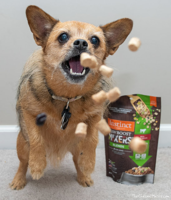 Mini Review Instinct Raw Boost Mixers Blends Dog Food Topper The
