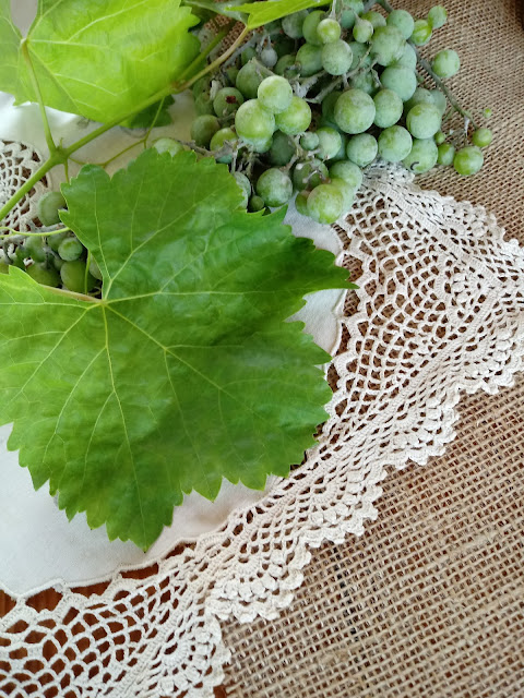 Hojas de parra y racimo de uva verde sobre un tapete de ganchillo para hacer un bodegón o composición con las hojas de parra