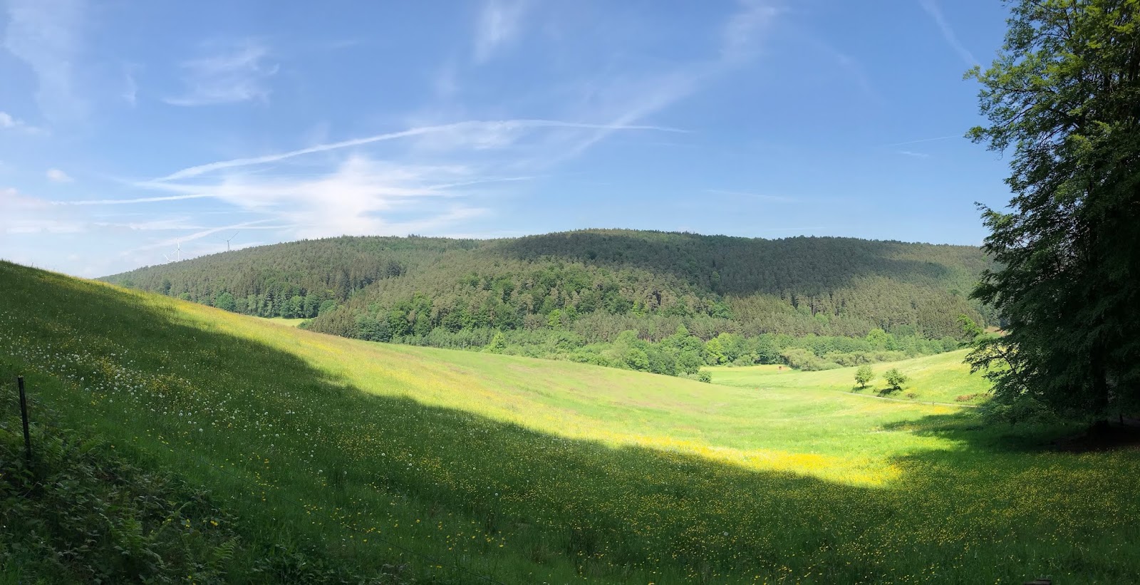 English Speaking Odenwald Frankenstein S Castle