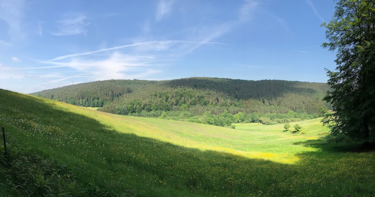 World War Two Daily August 1 1936 Opening Of The Berlin Olympics