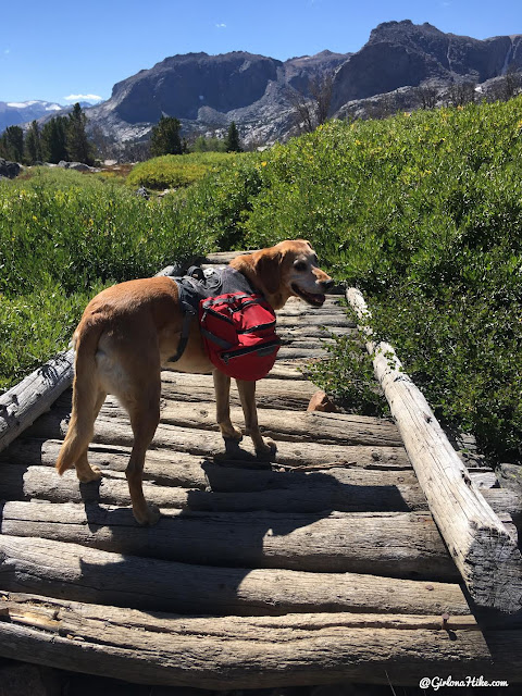 Backpacking to the Dinwoody Lakes, Wind Rivers, Backpacking the Glacier Trail Wind Rivers