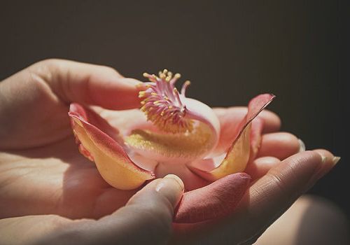 Lời Phật dạy về cuộc sống con người hay lắm nhé Lời Phật dạy về cuộc sống con người hay lắm nhé