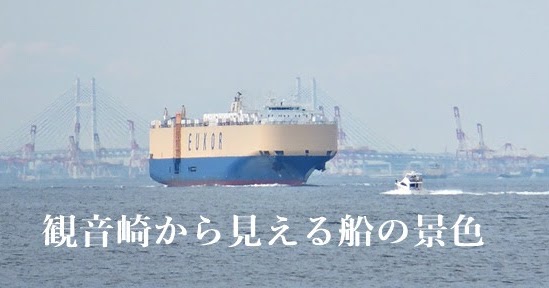 観音崎から見える船の景色