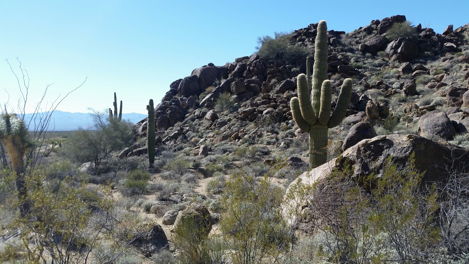 Chambers Realty Group Blog Stagecoach Trails, Yucca Arizona Land