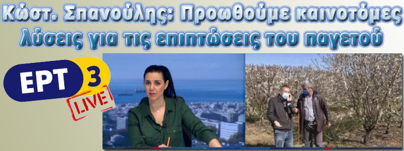 ΠΑΓΕΤΟΣ ΔΕΝΔΡΩΔΗ