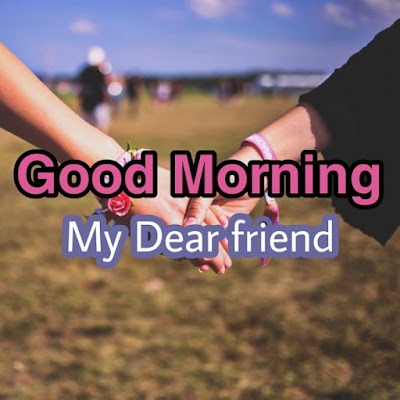 good morning my dear friends