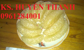 Bán cây giống bưởi đường quế dương, số lượng lớn, giao cây toàn quốc. LH 0961284001