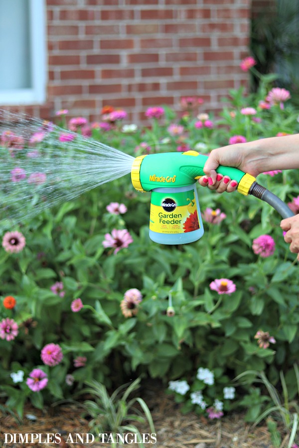 MY FIVE FAVORITE GARDENING PLANTS, TOOLS, AND PRODUCTS Dimples and