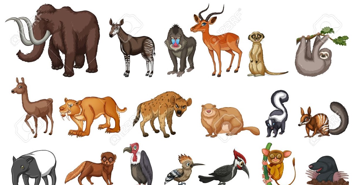 PopQuizfFunPalace: Which Animal Are You Quiz