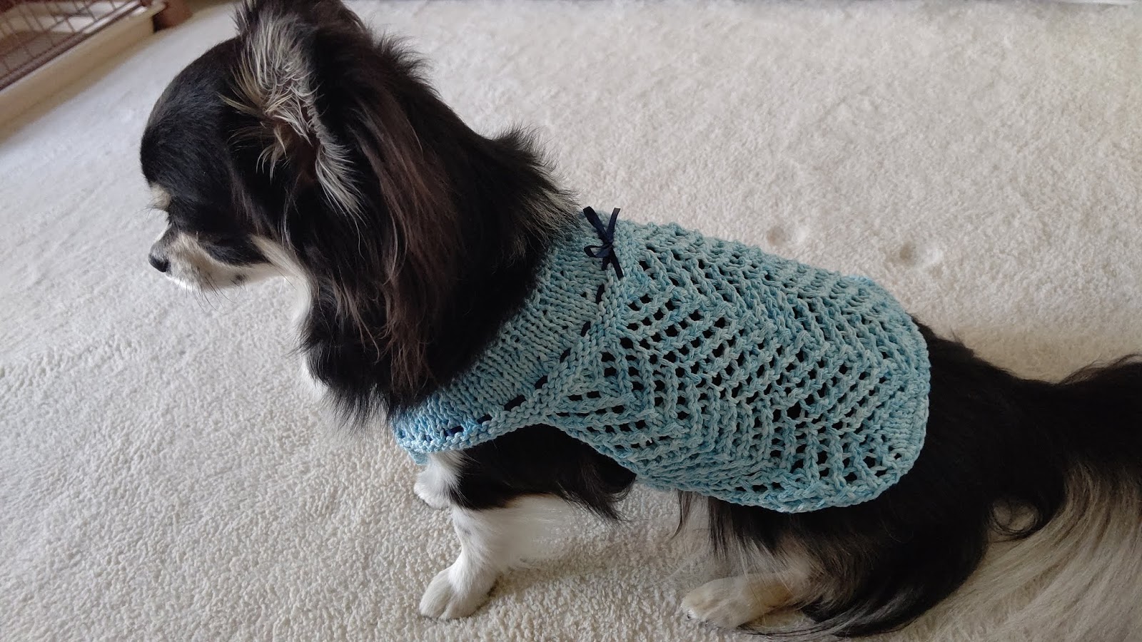 セリアのコットンデニムでとじはぎなしヨーク編みの小型犬用セーター