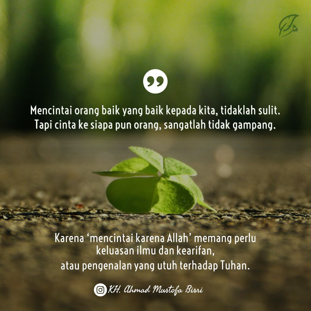 Dawuh Gus Mus: Meneladani Cinta dan Keluasan Ilmu Dua Kiai Bangsa