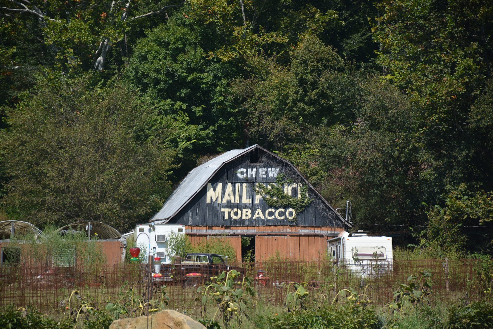 Mail Pouch Barn West of Nashville Indiana