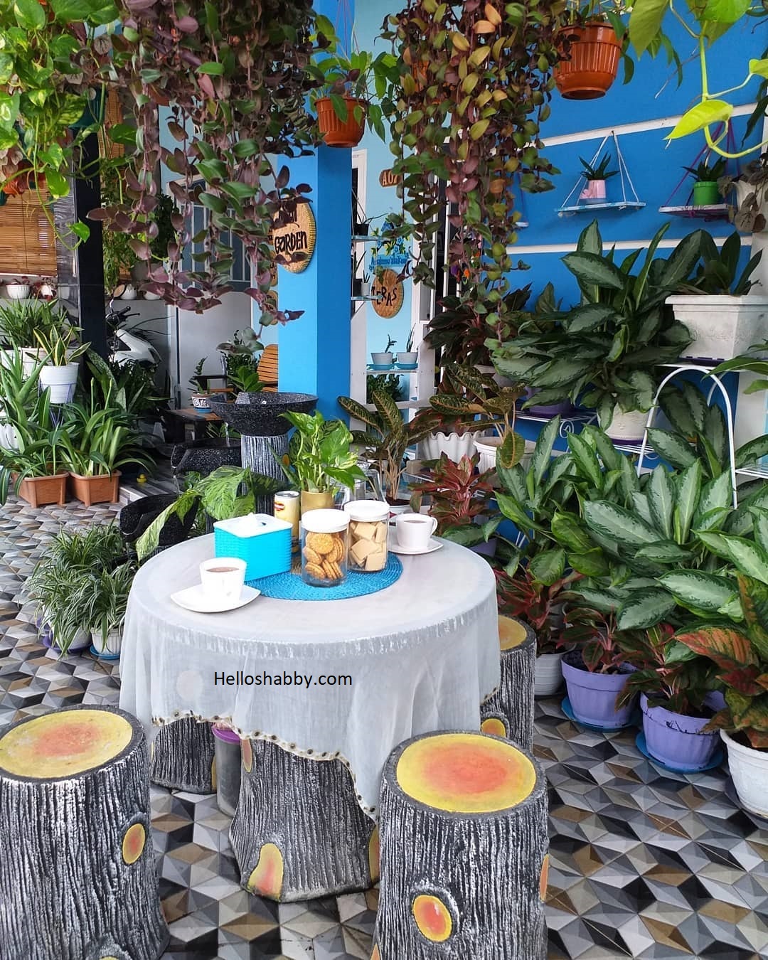 6 Desain Taman Teras dengan Tanaman Gantung | Mudah Dirawat dan