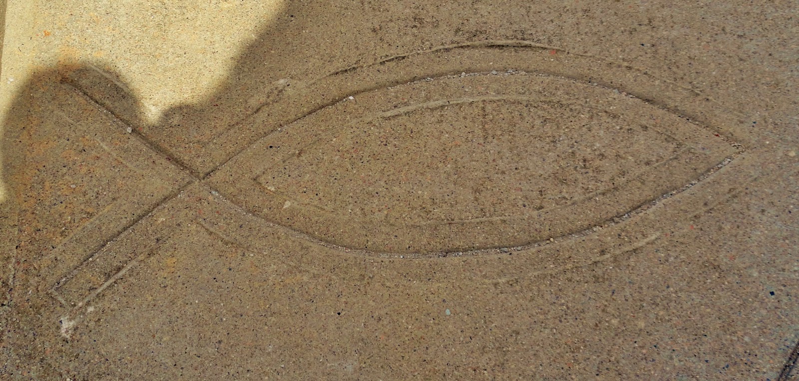 Around Old Lyme Sunday Sabbath Shalom