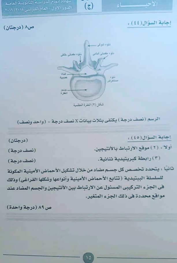 نموذج اجابة امتحان الاحياء للثانوية العامة 2019