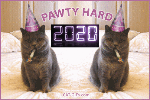 Cat GIF • PAWTY HARD and Happy New Year π 2020 to all Cat π lovers and their Cats π and Kitties πΊ all over the World Cat GIF • PAWTY HARD and Happy New Year π 2020 to all Cat π lovers and their Cats π and Kitties πΊ all over the World