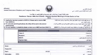 uae visa application service