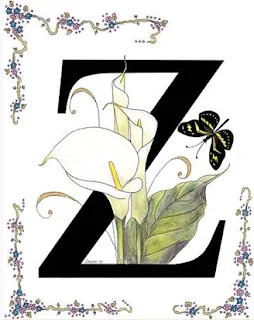 Letras con Flores y Mariposas. Flowers and Butterflies Letters.