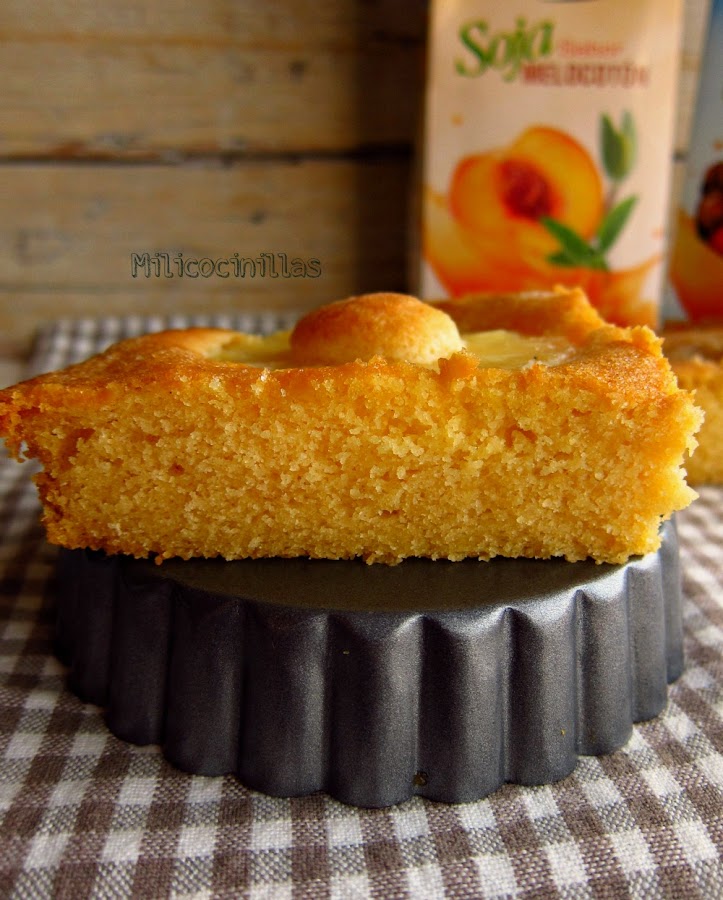 Bizcocho-sinhuevo-singluten-piña