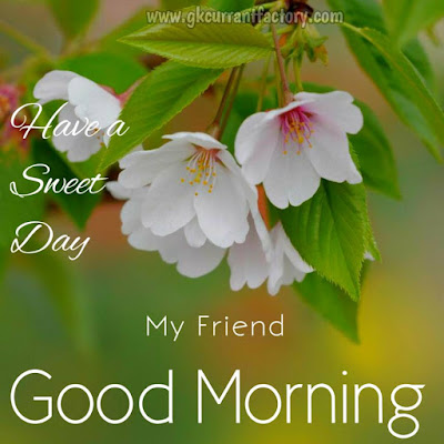 Good Morning Friends Images Good Morning Friend Images, Good Morning Best Friend Images, Good Morning dearest Friend Images, Good Morning Friend Images hd, Good Morning Friendship Quotes Images, Good Morning dear Friend images, Good Morning My Sweet Friend Images, Good Morning Images For Friends in Hindi, Images Of Good Morning Friend, Good Morning Friend Message, Good Morning my Friend, Good Morning Friends Photo, Good Morning Friends Pic, Good Morning All Friend, Good Morning Friends Status, Good Morning Friends Picture, Good Morning Friend Video, Good morning Friends and Family, Good Morning Friend Have a Nice Day