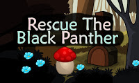  Top10NewGames - Top10 Rescue The Black Panther