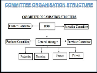 organizational committees followed taken