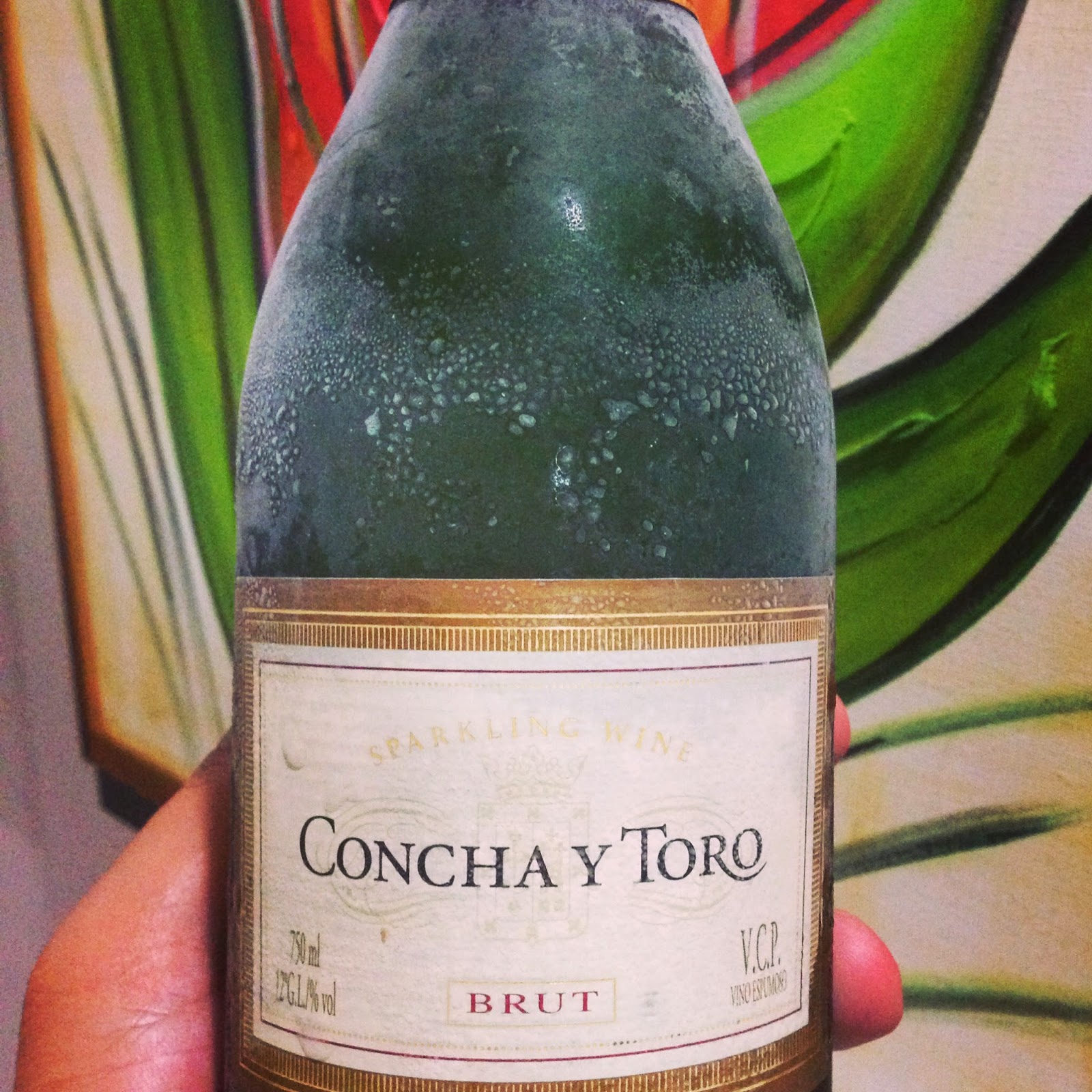 Vinhos de Minha Vida Concha y Toro Sparkling Wine Brut