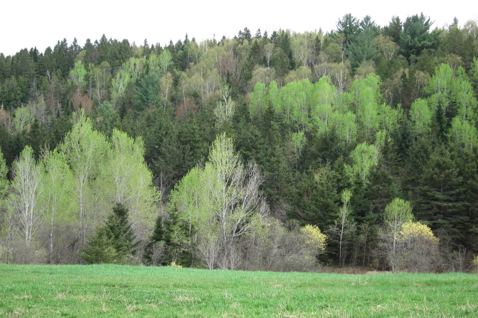 Cycle Fun Montreal Photos StJeandeMatha to SteEmiliedeL'Energie