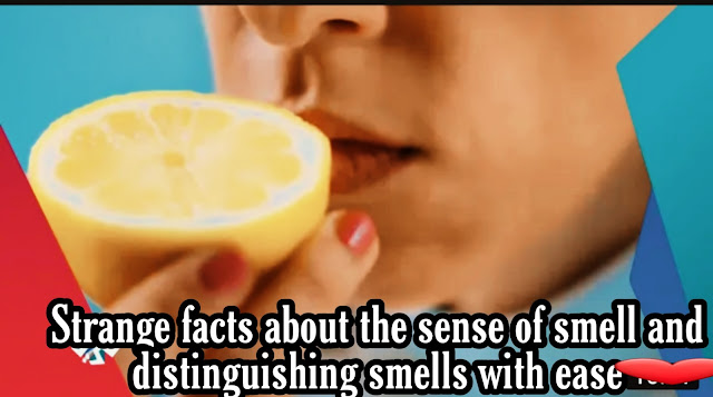 Strange facts about the sense of smell and distinguishing smells with ease Strange facts about the sense of smell and distinguishing smells with ease