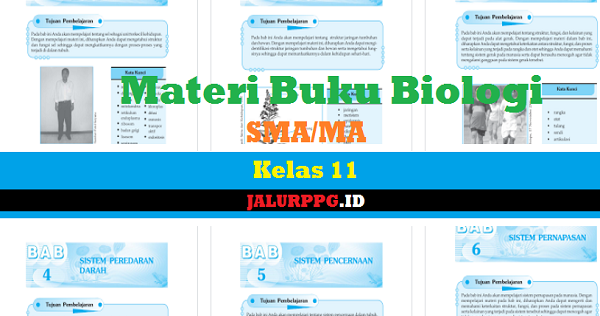 Materi Buku Biologi SMA/MA Kelas 11 JALURPPG.ID