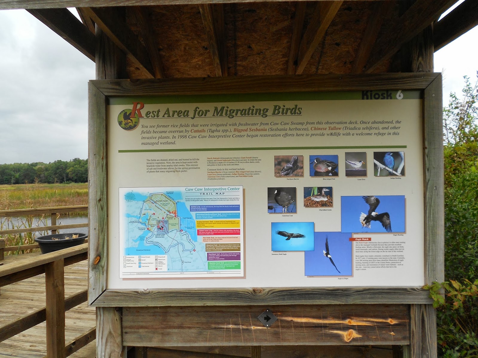 Quabbin South Carolina & Chiggers