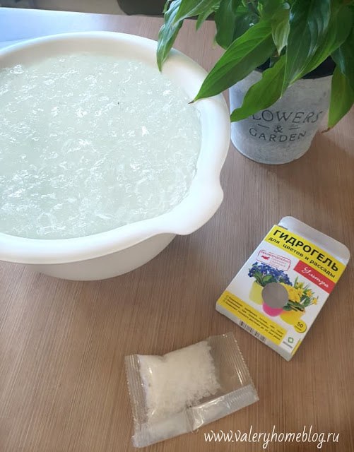 Гидрогель или вермикулит что лучше. Смотреть фото Гидрогель или вермикулит что лучше. Смотреть картинку Гидрогель или вермикулит что лучше. Картинка про Гидрогель или вермикулит что лучше. Фото Гидрогель или вермикулит что лучше Гидрогель или вермикулит что лучше. Смотреть фото Гидрогель или вермикулит что лучше. Смотреть картинку Гидрогель или вермикулит что лучше. Картинка про Гидрогель или вермикулит что лучше. Фото Гидрогель или вермикулит что лучше