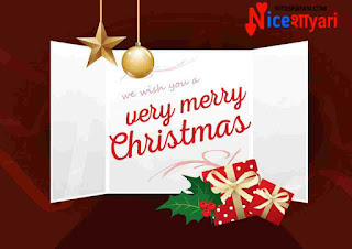 wish you a very merry christmas