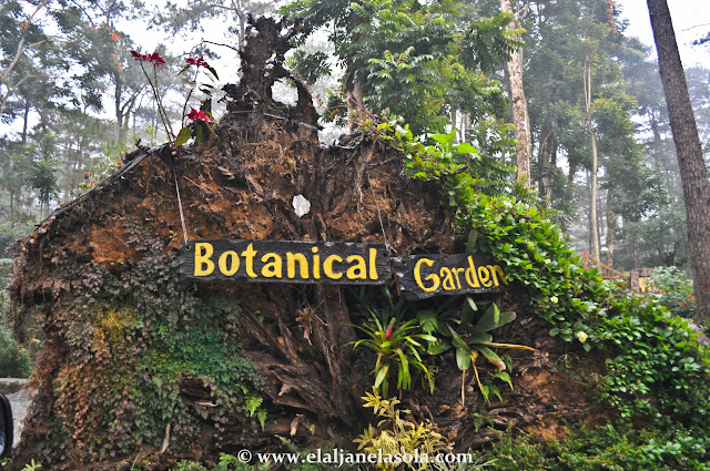 Baguio Botanical Garden