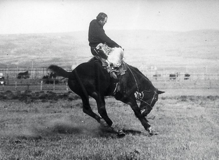 Chris Navarro Studio Blog The great bucking horse from Wyoming