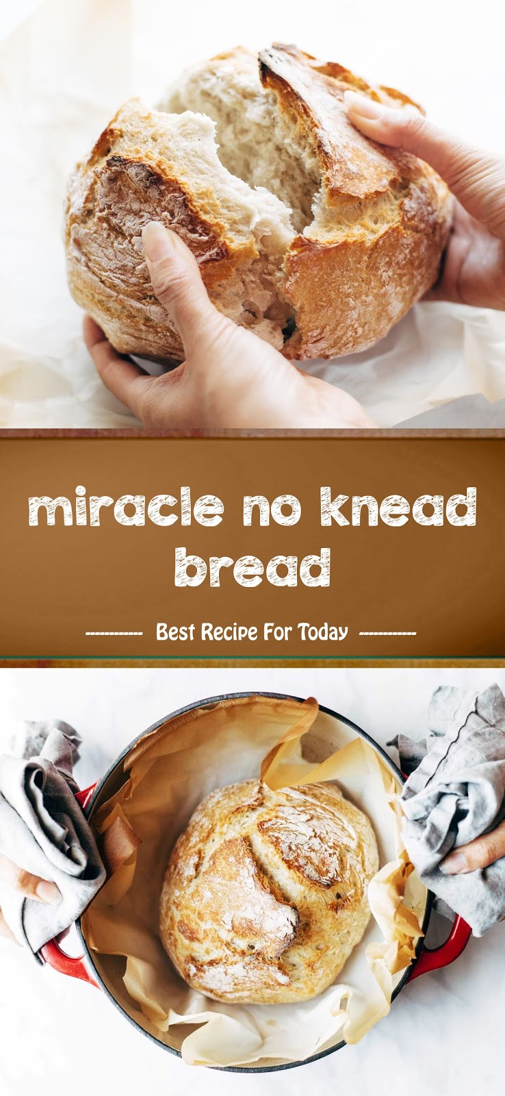 miracle no knead bread - Jolly Lotus
