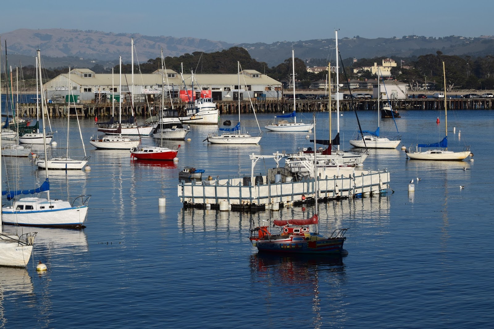 monterey 15.6 monterey 15.6