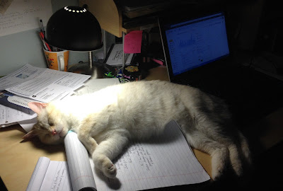white cat sleeping on writing notes next to laptop computer